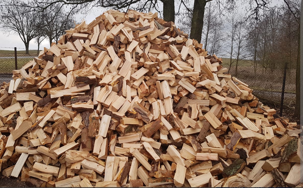 palivove_drevo-foto